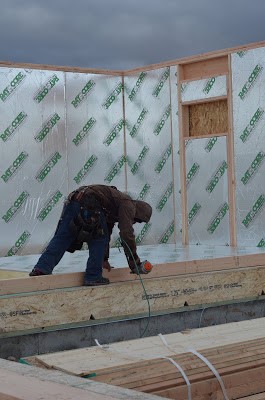 Structural Insulated Panels Framing RAYCORE SIPs